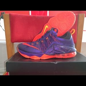 BRAND NEW LEBRON JAMES LOW TOP SHOES!!!